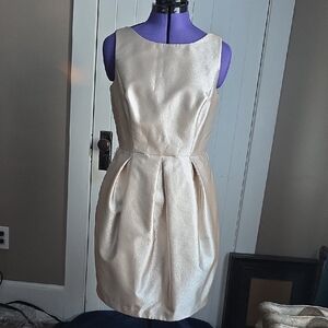 White House Black Market Shimmering Cream Sleeveless Dress